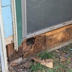 Water damage on exterior wood