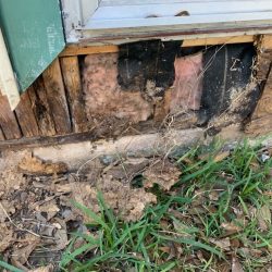 Water damage on exterior wood1